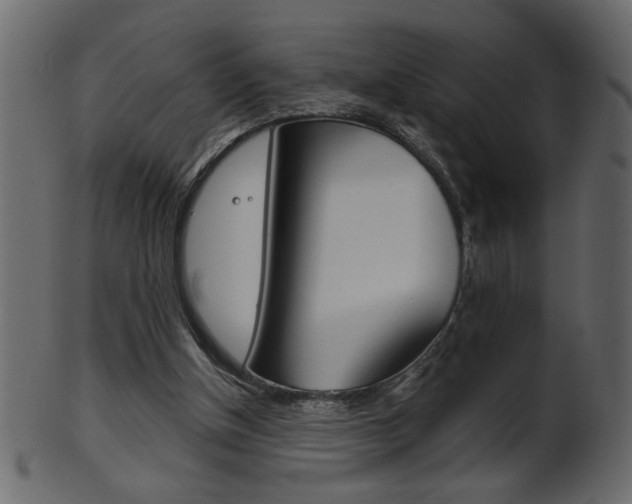 X0000102020154200807180951
