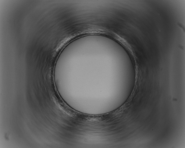 X0000102020155200807180951