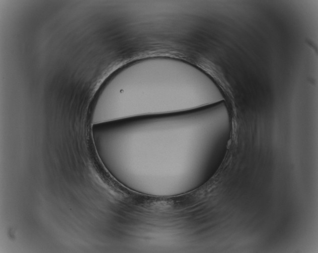 X0000102020156200807180951