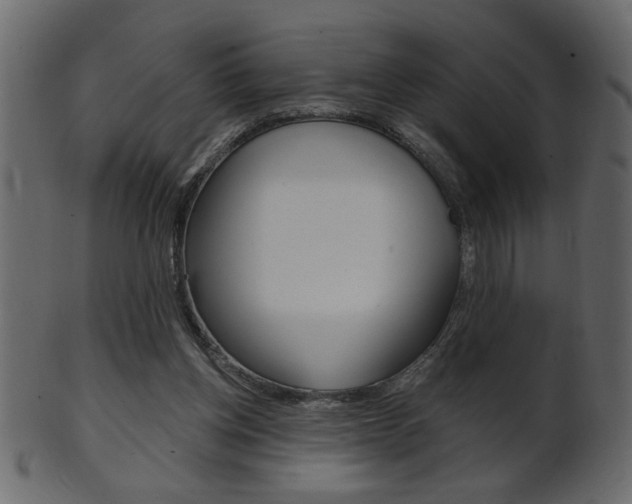 X0000102020158200807180951