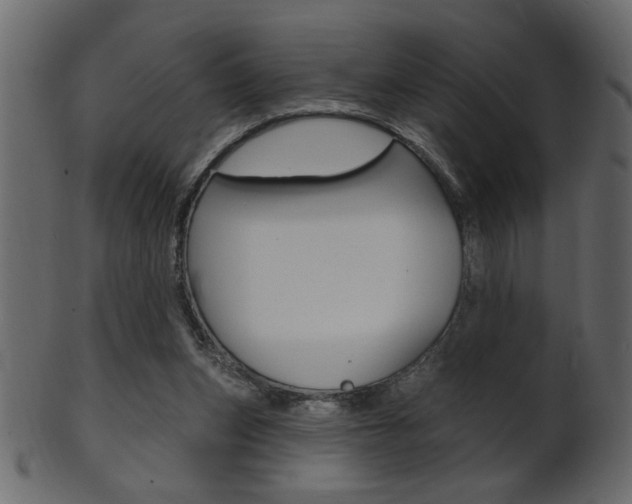 X0000102020159200807180951