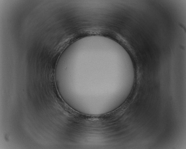 X0000102020161200807180951