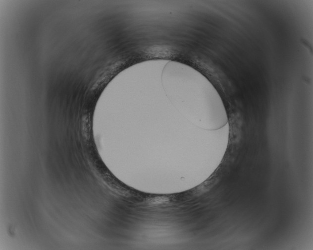 X0000102020162200807180951