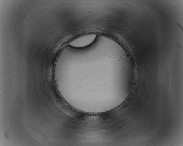 X0000102020163200807180951