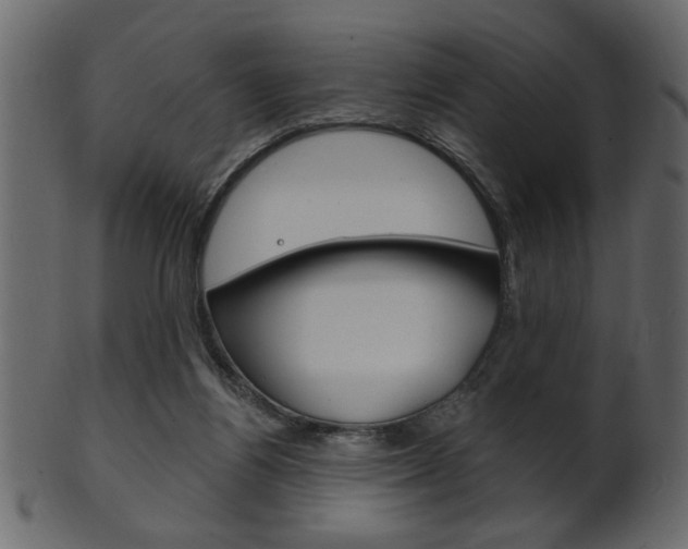 X0000102020164200807180951