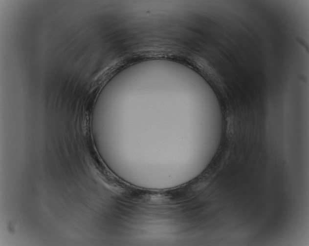 X0000102020165200807180951