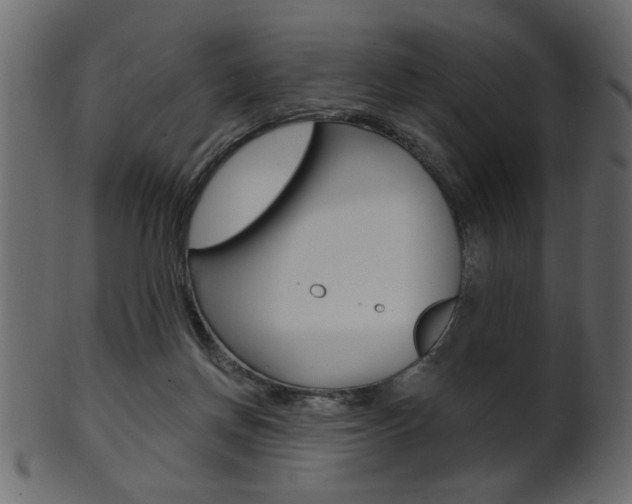 X0000102020166200807180951