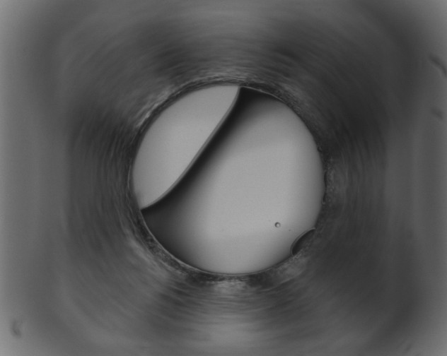 X0000102020168200807180951
