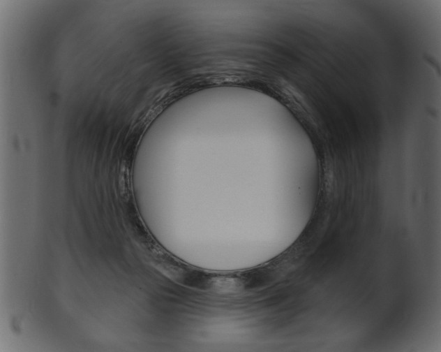 X0000102020169200807180951