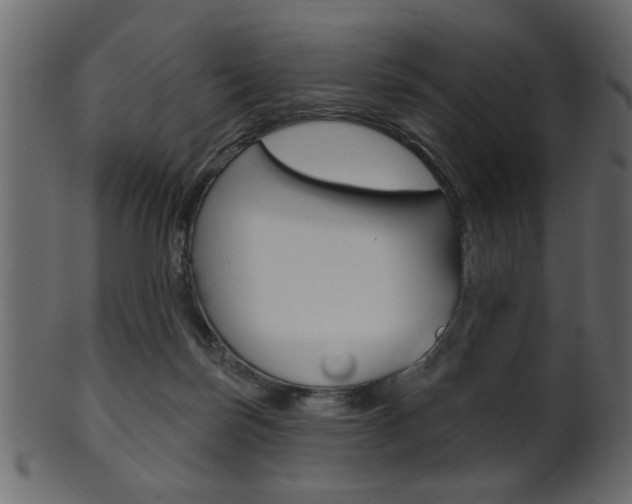X0000102020171200807180951