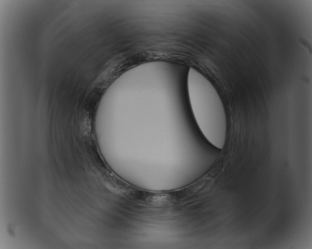 X0000102020173200807180951