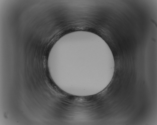 X0000102020174200807180951