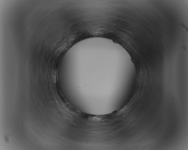 X0000102020180200807180951