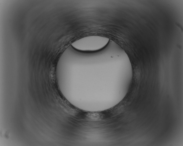 X0000102020181200807180951