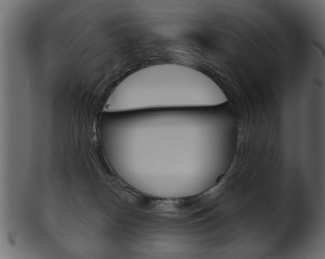 X0000102020182200807180951