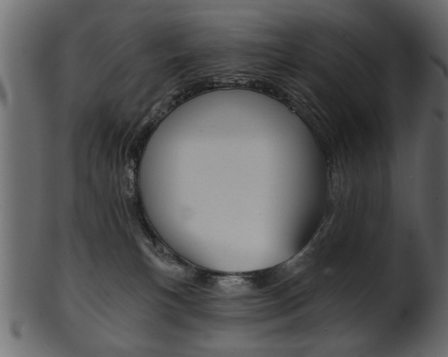 X0000102020183200807180951
