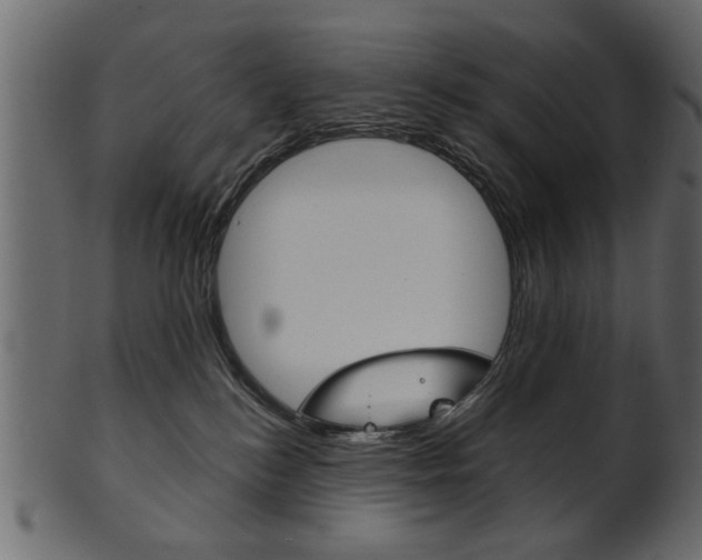 X0000102020184200807180951