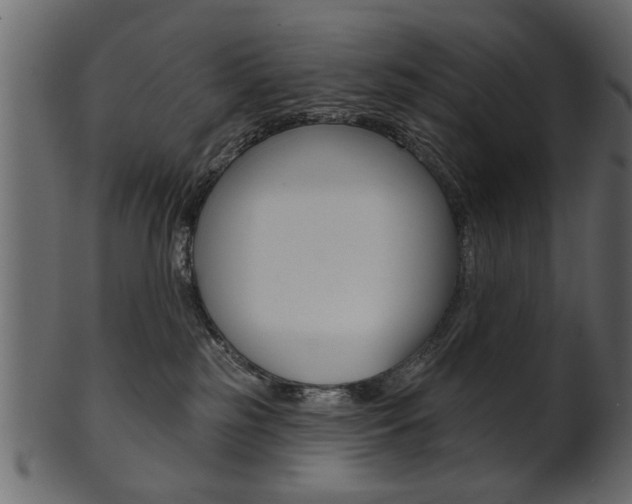 X0000102020185200807180951