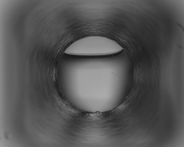 X0000102020188200807180951