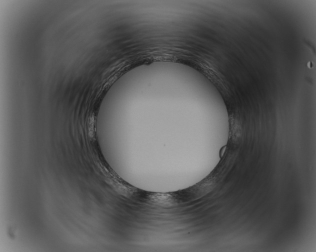 X0000102020189200807180951