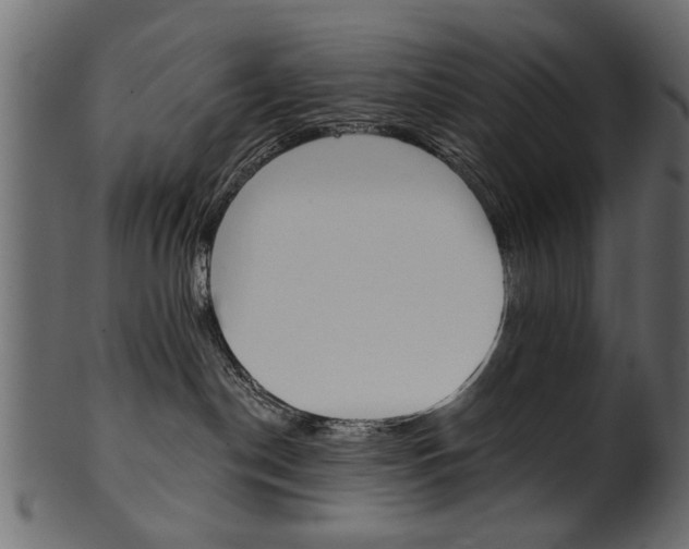 X0000102020190200807180952
