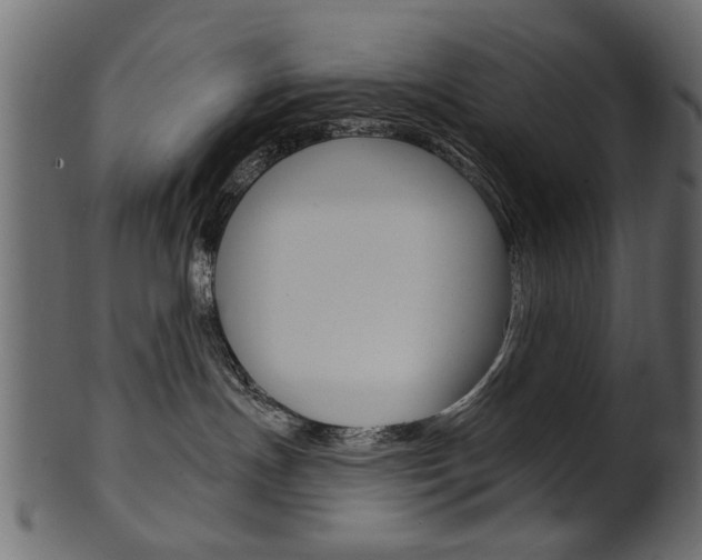 X0000102020191200807180952