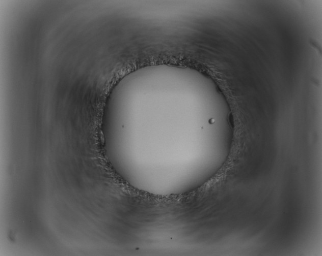 X0000102020192200807180952