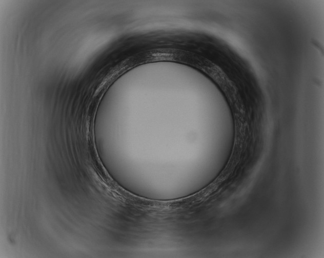 X0000102020194200807180951