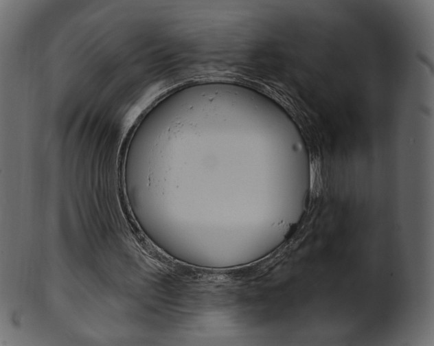 X0000102020195200807180951