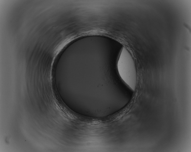 X0000102020196200807180951