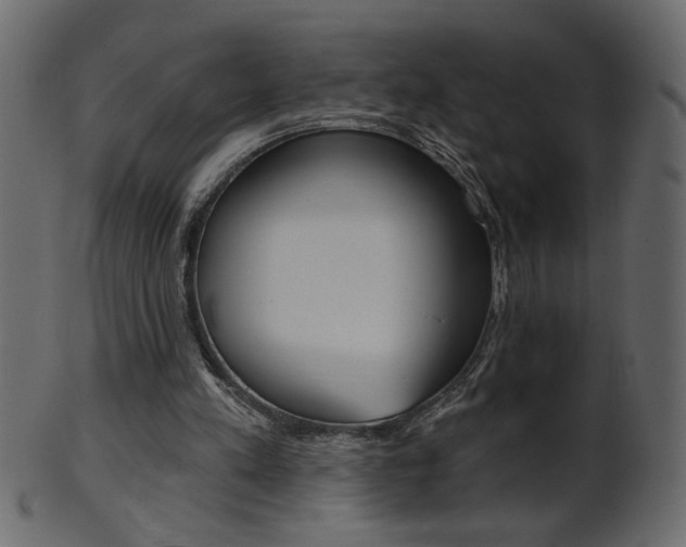 X0000102020197200807180951