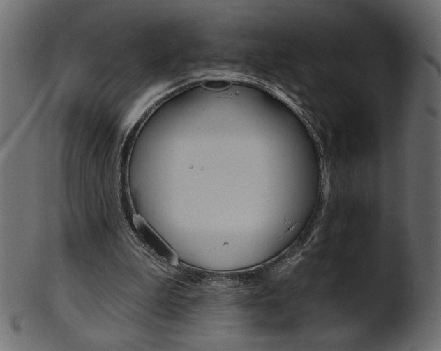 X0000102020199200807180951
