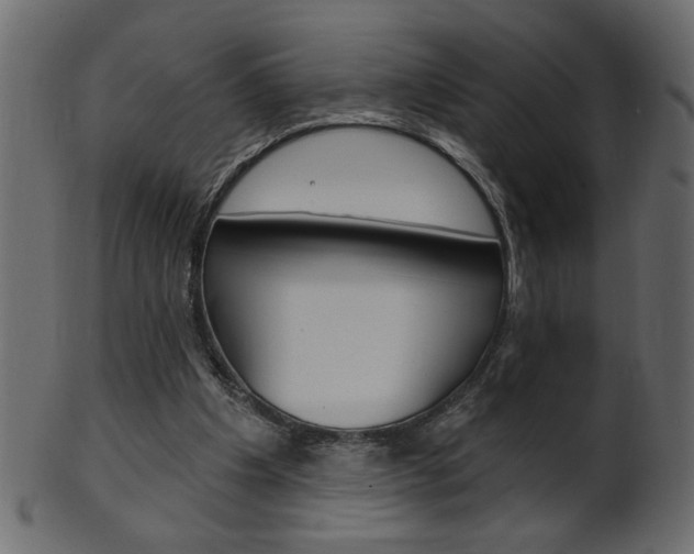 X0000102020201200807180951