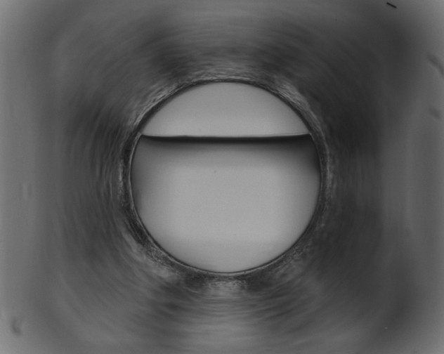 X0000102020202200807180951
