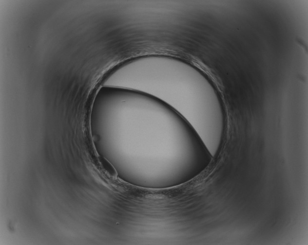 X0000102020203200807180951
