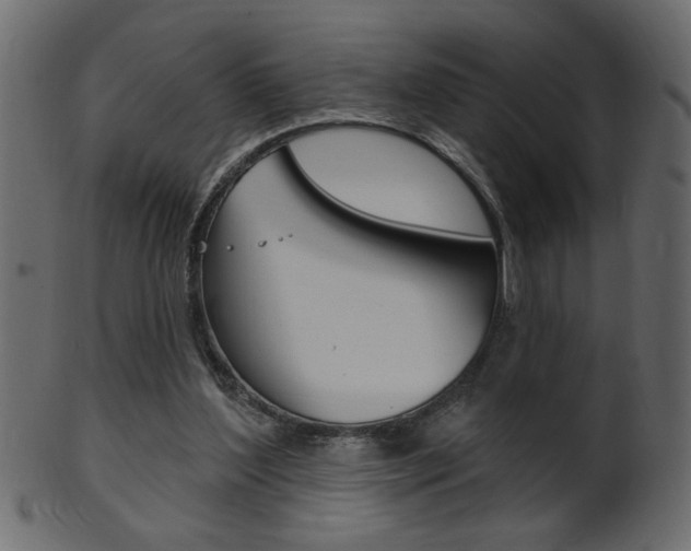 X0000102020204200807180951