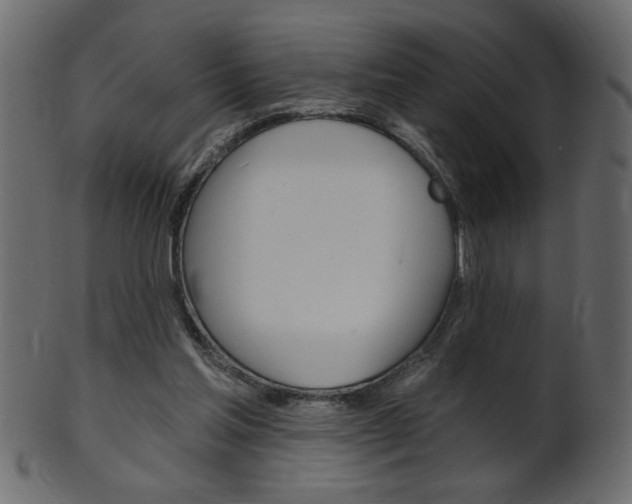 X0000102020205200807180951