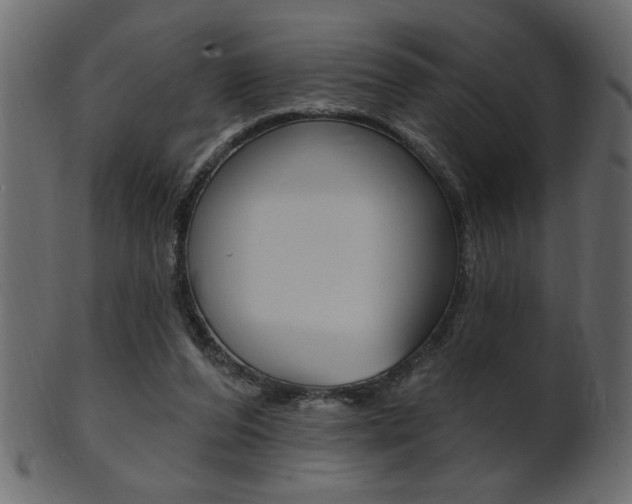 X0000102020208200807180950
