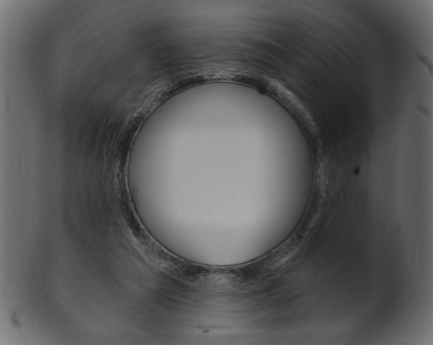 X0000102020209200807180950