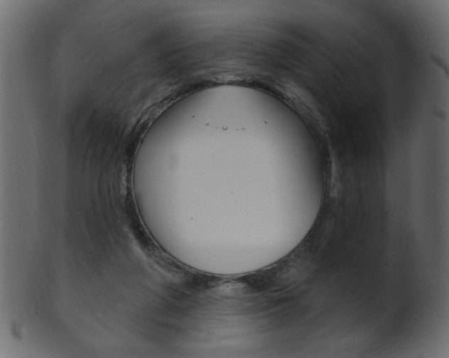 X0000102020210200807180950