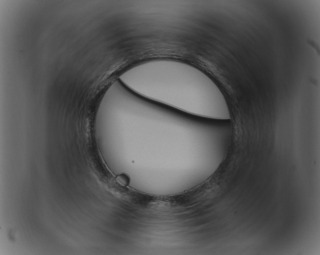 X0000102020211200807180950