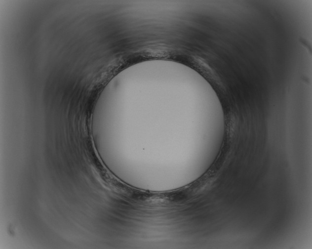 X0000102020213200807180950