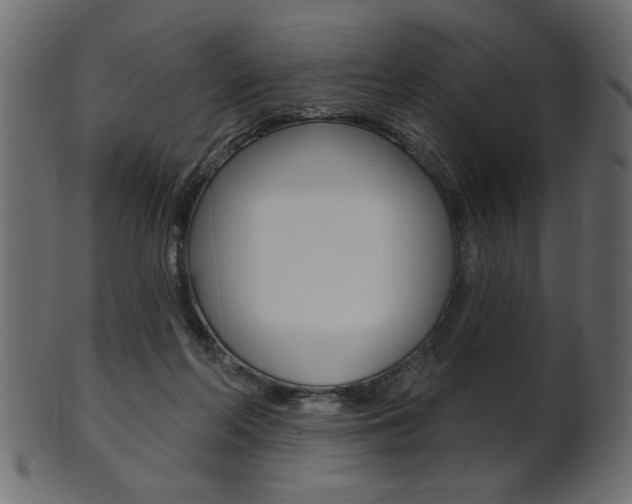 X0000102020214200807180950