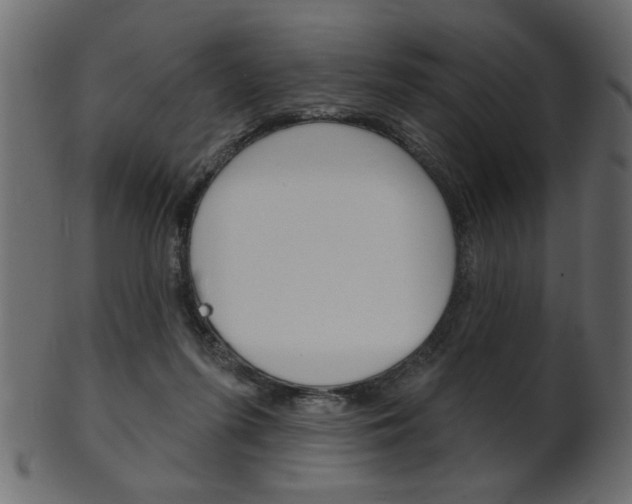 X0000102020215200807180950