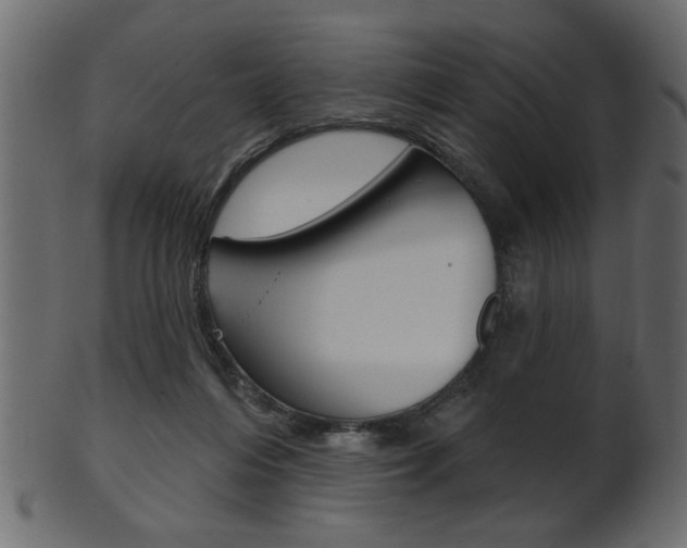 X0000102020216200807180950