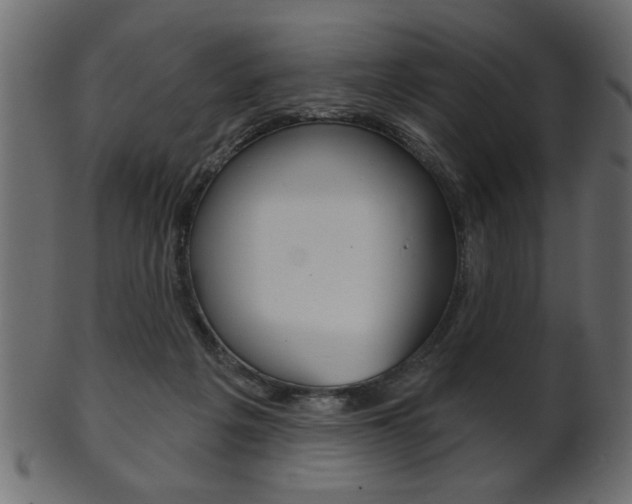 X0000102020217200807180950