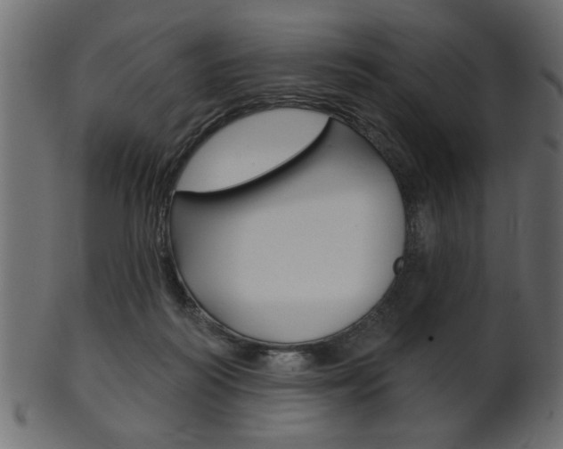 X0000102020218200807180950