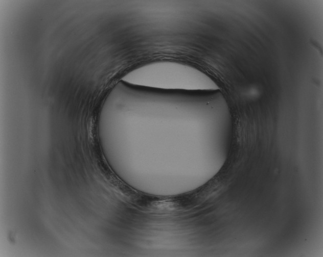X0000102020219200807180950