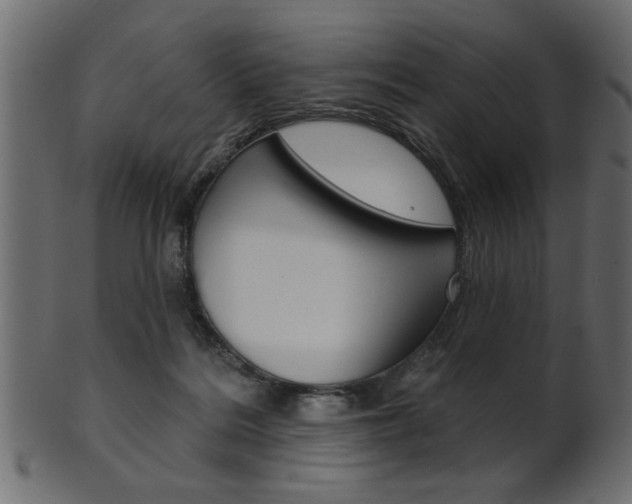 X0000102020220200807180950