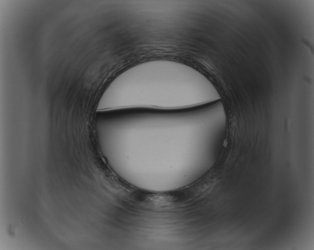 X0000102020221200807180950